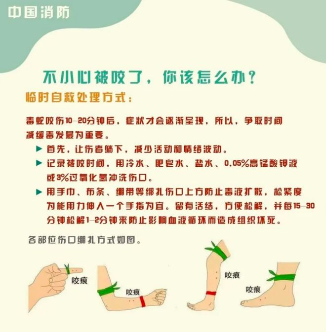 子”死亡记录：曾诊断为不明生物咬伤(神经毒蛇) 等麻将胡了免费试玩“三亚旅游被不