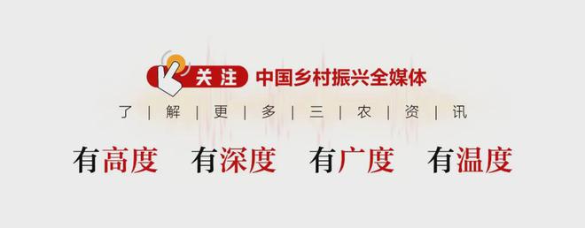 高质高效使用衔接资金推进乡村振兴见闻录PG电子麻将胡了好雨知时节 ——云南省(图7)