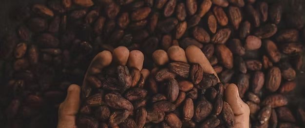 味果冻」东鹏2025三季度营收同比增长3036%一周热闻麻将胡了2试玩网站康师傅×疯狂动物城上新「冻冻茶冰红茶(图2) 味果冻」东鹏2025三季度营收同比增长3036%一周热闻麻将胡了2试玩网站康师傅×疯狂动物城上新「冻冻茶冰红茶(图2)