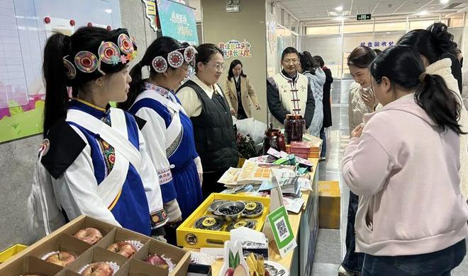 心共振兴丽江好物“空降”杨浦麻将胡了2模拟器试玩沪滇同(图5)