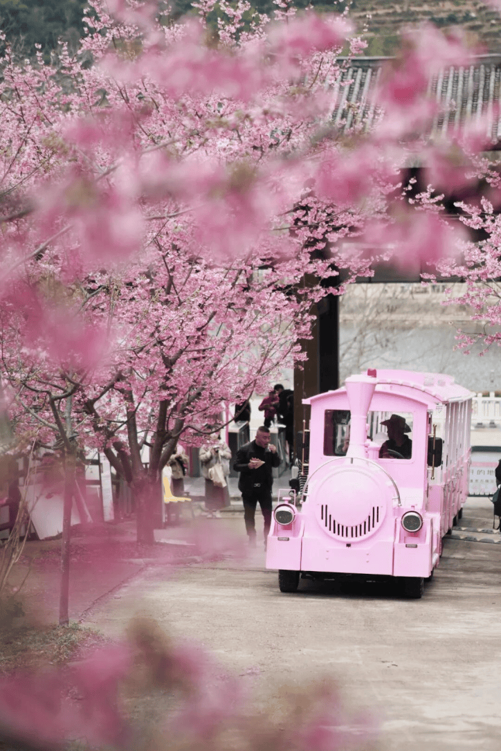 过大宋年 新春游玩攻略来了！麻将胡了模拟器试玩来楠溪江(图16)